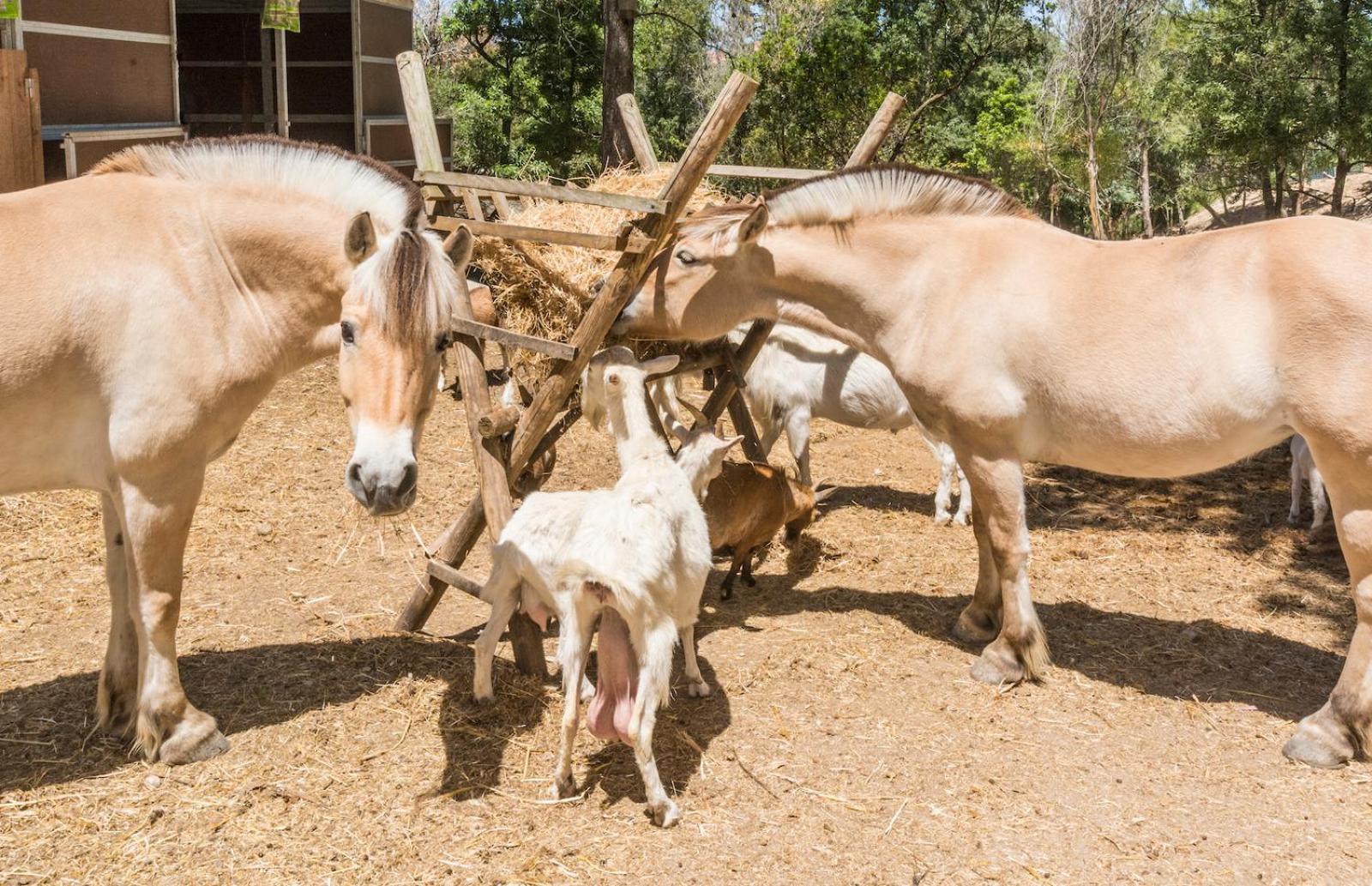 Вілла Quinta De Sao Pedro Sobreda Екстер'єр фото